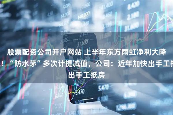 股票配资公司开户网站 上半年东方雨虹净利大降4成！“防水茅”多次计提减值，公司：近年加快出手工抵房